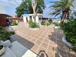 Vista 19