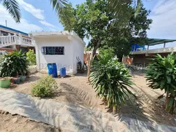 Vista 24