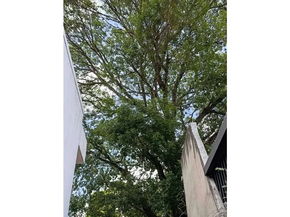Vendo casa calle cerrada 320m2 Montalbán 6766 - 28