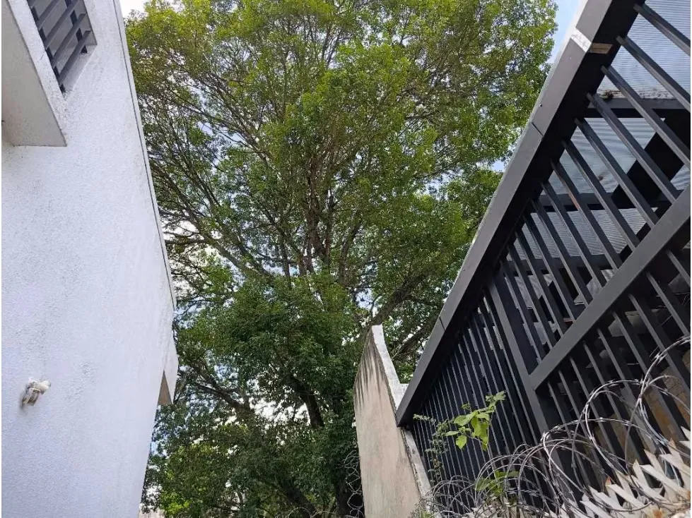 Vendo casa calle cerrada 320m2 Montalbán 6766 - 29