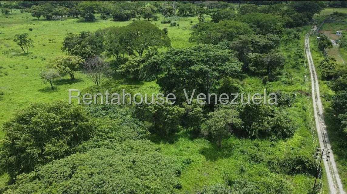 Terreno (Industrial) en Venta en Miraflores, Portuguesa - 5