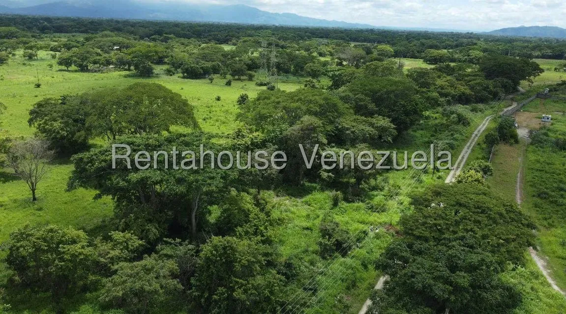 Terreno (Industrial) en Venta en Miraflores, Portuguesa - 7
