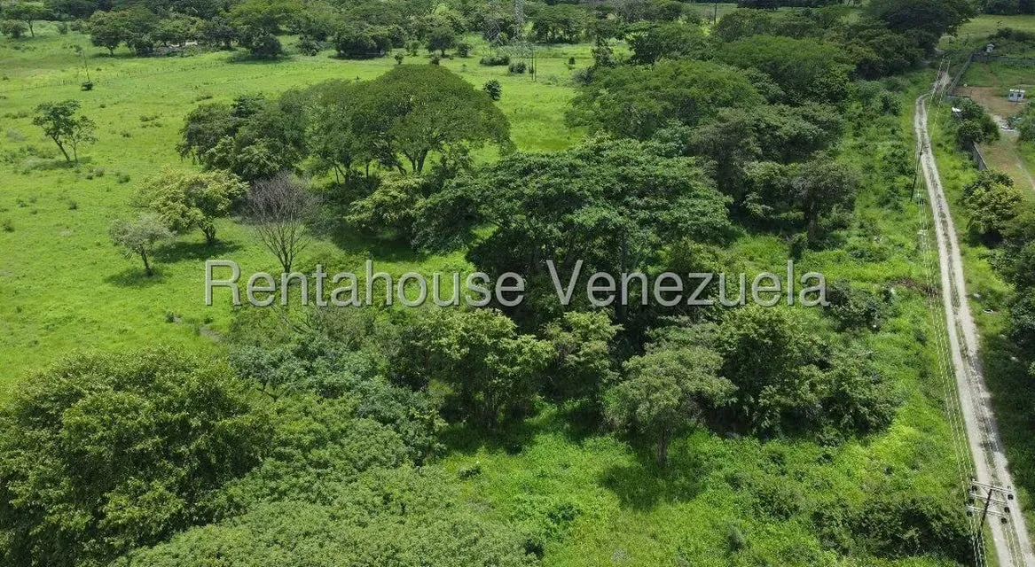 Terreno (Industrial) en Venta en Miraflores, Portuguesa - 8
