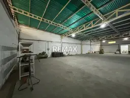 Vista 19