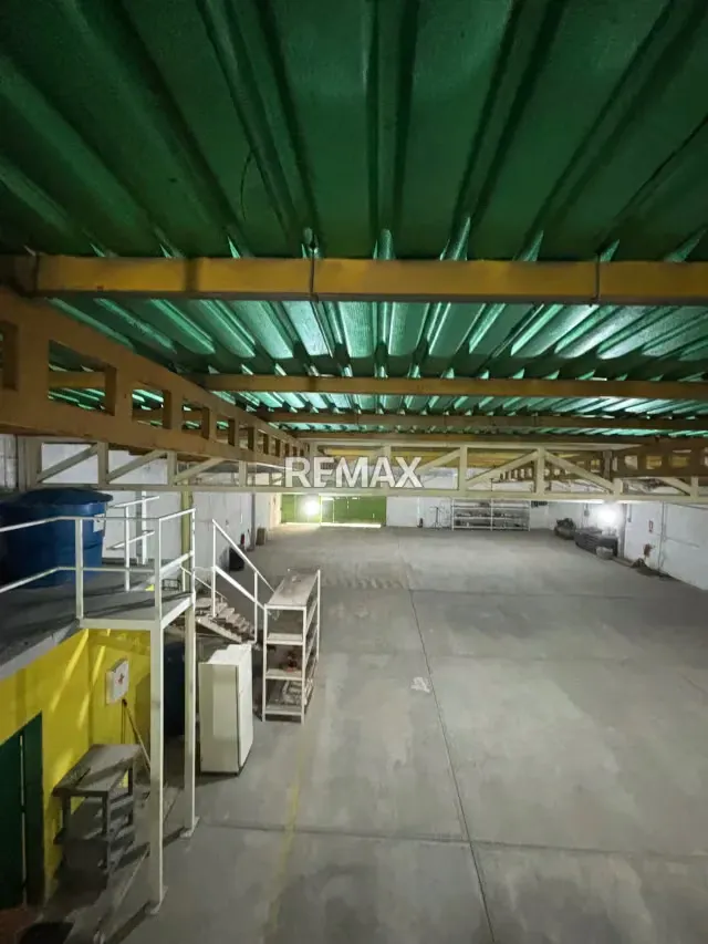 Galpón de 515 m² con Santamaría y Estructura de Hierro – Zona Campo Alegre - 3