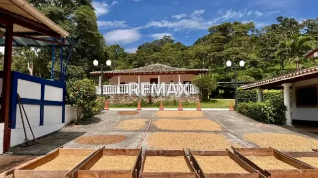 En venta Finca con Planta Industrializadora de Café Totalmente Operativa y Productiva Bramón, Municipio Junín, Estado Táchira, Venezuela - 2