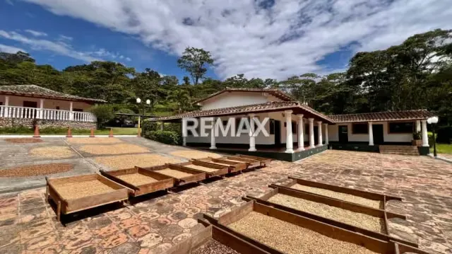 En venta Finca con Planta Industrializadora de Café Totalmente Operativa y Productiva Bramón, Municipio Junín, Estado Táchira, Venezuela - 4