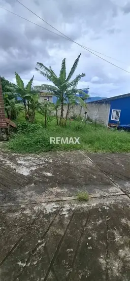 Vista 4