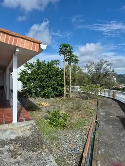 View 11