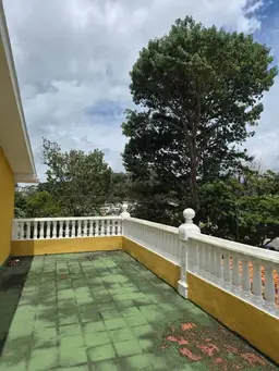 View 12