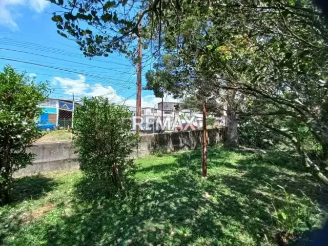 Terreno en Venta - Los Naranjos - 4