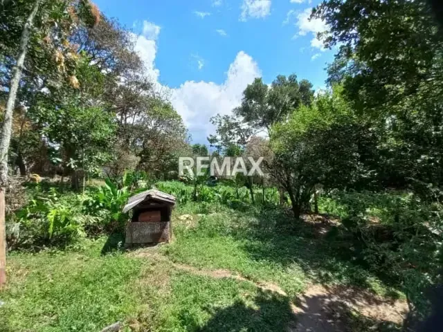 Terreno en Venta - Los Naranjos - 7