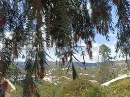 Vista 46