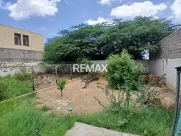Vista 20