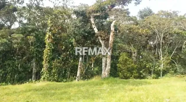 TERRENO EN VENTA EN BELEN GUASIMOS - 2