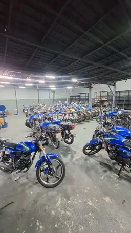 Vista 15