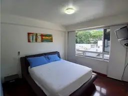 Vista 10