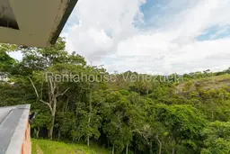 Vista 11