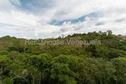 Vista 9