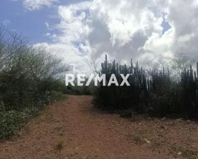 TERRENO SIN DESARROLLAR Y CON POTENCIAL PARA VIVIENDA EN SECTOR LAS VILLARROELES, SAN JUAN