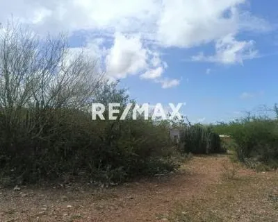 TERRENO SIN DESARROLLAR Y CON POTENCIAL PARA VIVIENDA EN SECTOR LAS VILLARROELES, SAN JUAN - 3