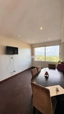 Vista 6
