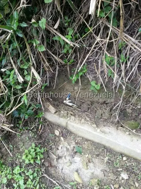 Terreno (Residencial) en Venta en La Boyera, Distrito Metropolitano - 12