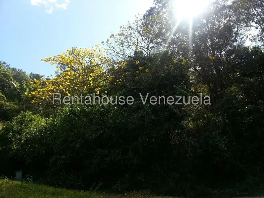 Terreno (Residencial) en Venta en La Boyera, Distrito Metropolitano - 14