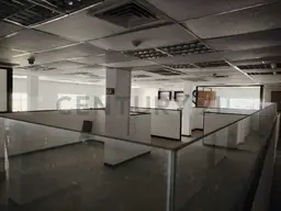 Vista 15