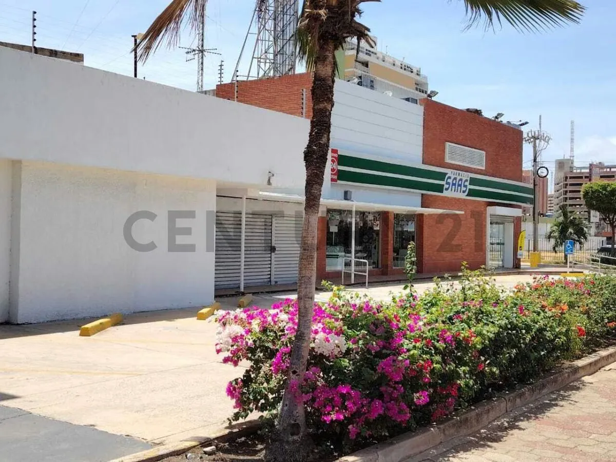 Local comercial y oficinas avenida 5 de Julio - 4