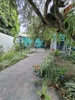 Vista 4