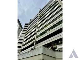 Vista 1