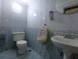 Vista 19