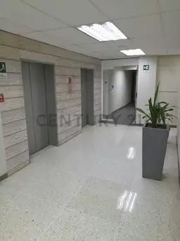 Vista 19