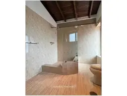 Vista 19