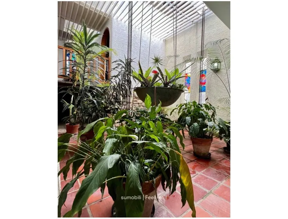 Venta Casa en calle cerrada 780 m2 La Lagunita 7629 - 5
