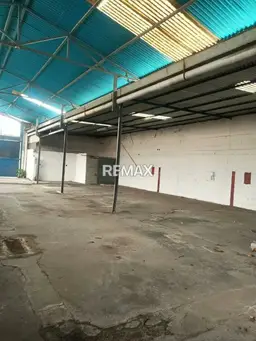 Vista 4
