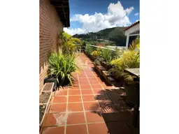 Vista 26
