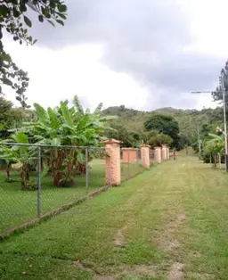 Vista 3