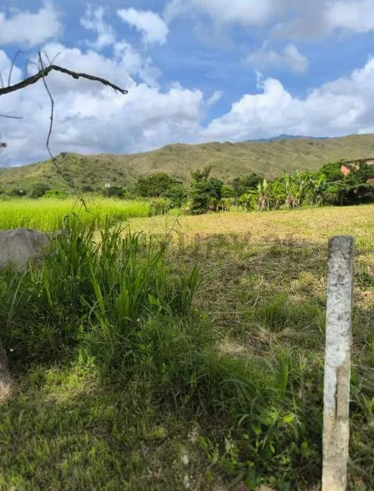 Venta de Terreno Sector Campo Claro Aguirre - 4