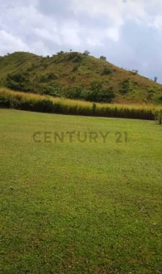 Venta de Terreno Sector Campo Claro Aguirre - 5
