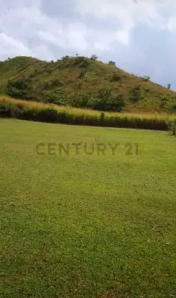 Vista 5