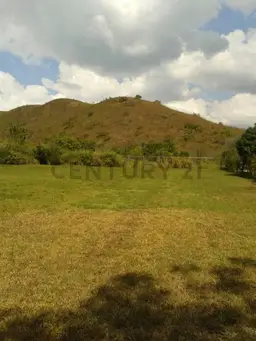 Vista 6