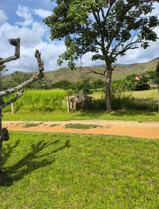 Venta de Terreno Sector Campo Claro Aguirre - 7