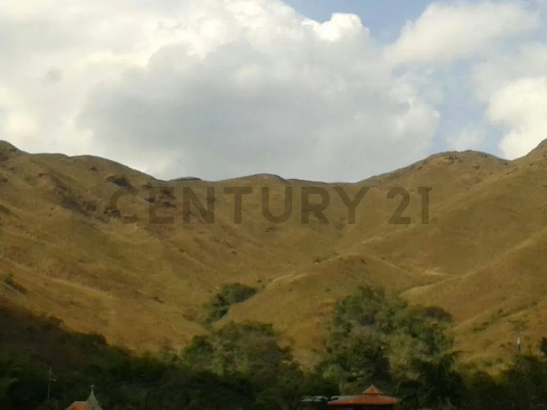 Venta de Terreno Sector Campo Claro Aguirre - 8