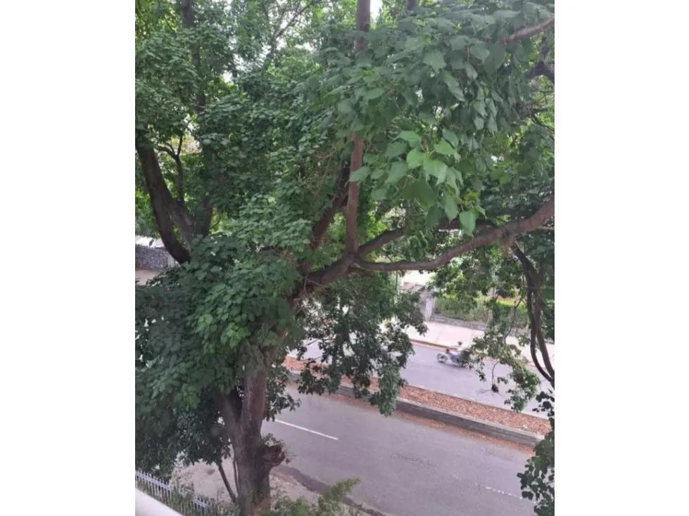 Venta edificio 1250m2 Altamira 8211 - 4