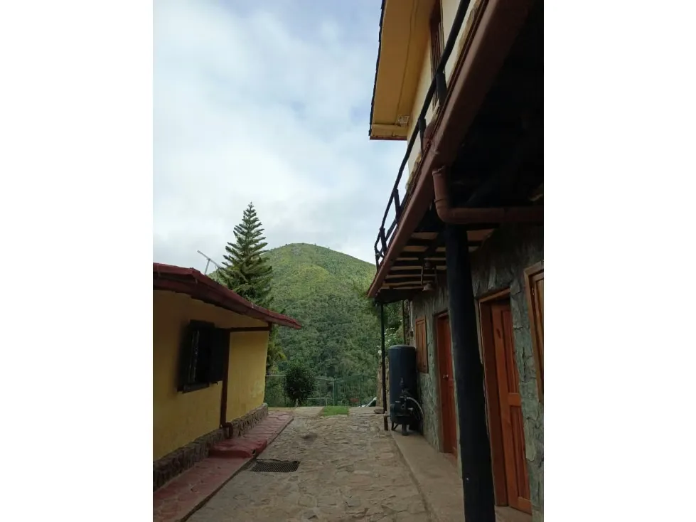 En venta Casa Campestre 1.215m2 La Colonia Tovar (vía Puerto Cruz) - 11