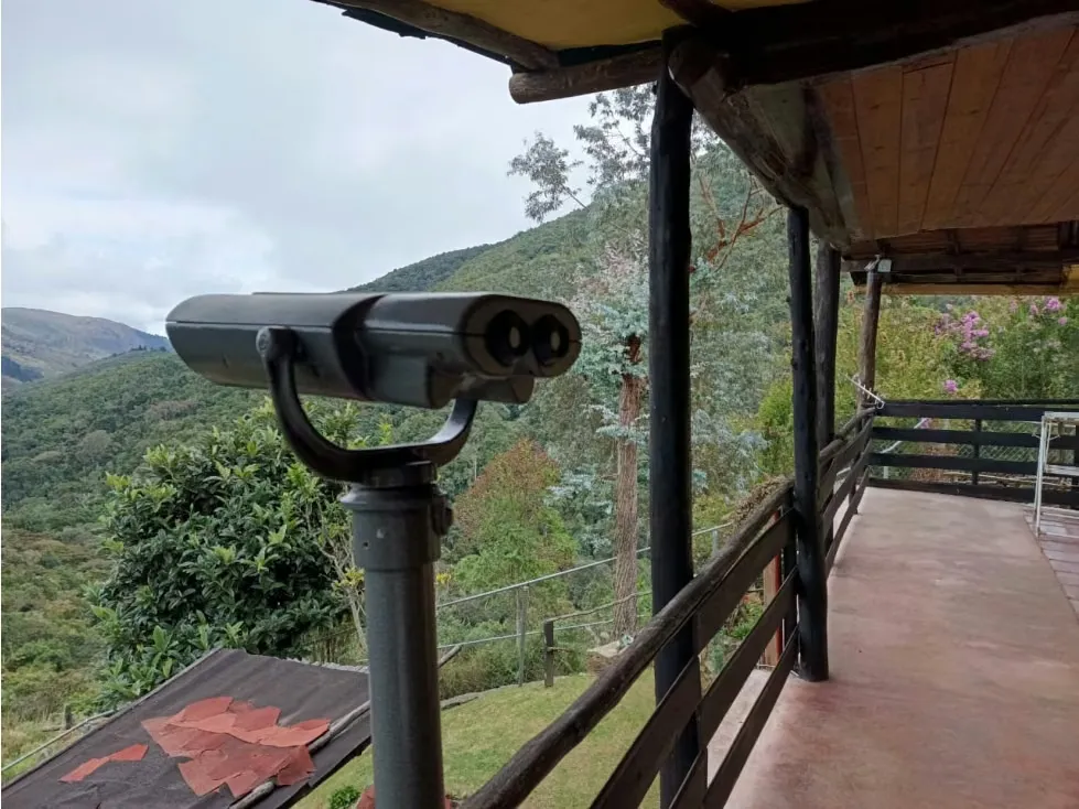 En venta Casa Campestre 1.215m2 La Colonia Tovar (vía Puerto Cruz) - 21