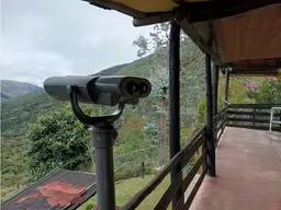 View 21