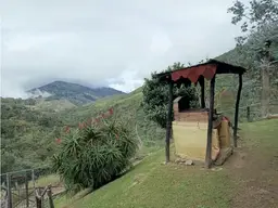 View 22